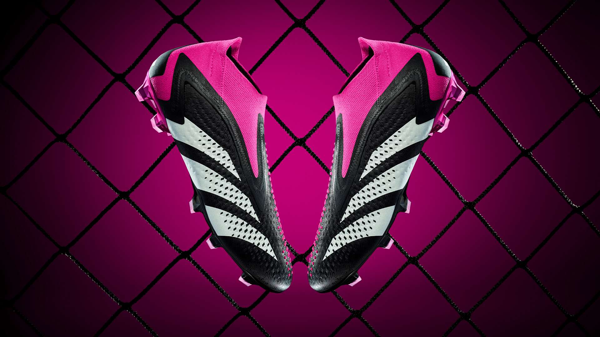 他明确表示 他明确表示